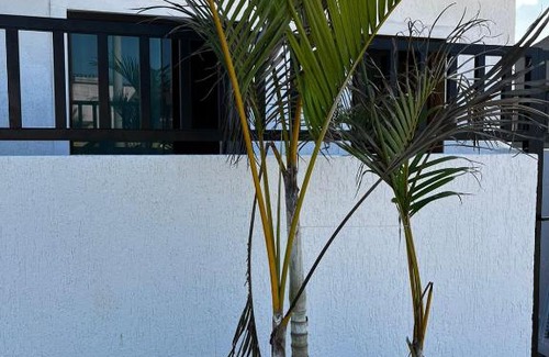 Saquarema House | Meu Loft Barra Nova 4