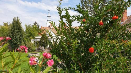 Koveskal Bed & Breakfast | Mi a Kő vendégház