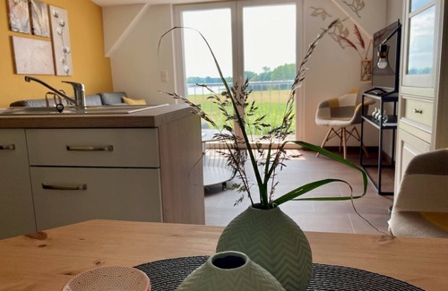 Friedrichswalde Apartment | Micro-apartment "Wald" DG, 22 sqm, living/bedroom, terrace, max. 2 persons