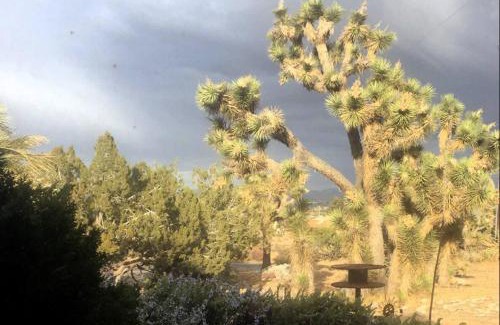 Yucca Valley House | Mid-Century Hideaway - privat Pool & King Bed