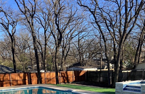 Euless House | Mid City Oasis