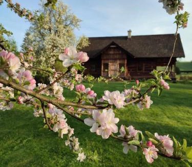 Czarna House | Miejsce po Dworze