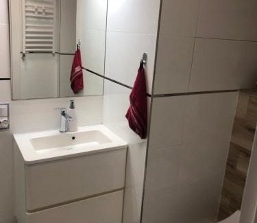 Łowicz Apartment | Mieszkanie 21