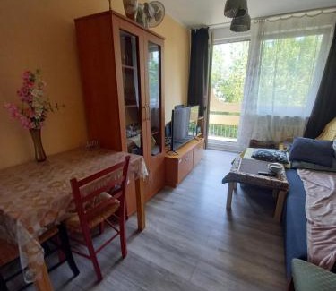 Walbrzych Apartment | mieszkanie dla zwykłych ludzi