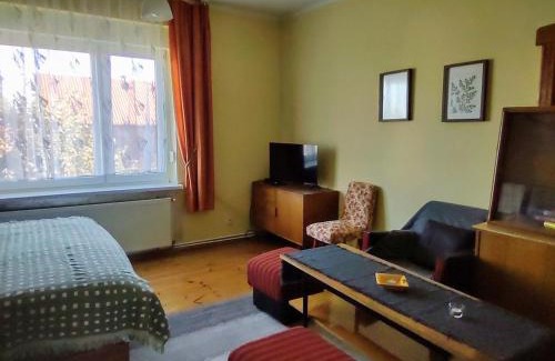 Tarnowskie Gory Apartment | mieszkanie Tarnowskie Góry niedaleko Pałacu Rybna