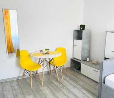 Arad Apartment | Miha modern and central apartament