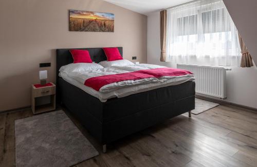 Vasszecseny Apartment | Milek Vendégház