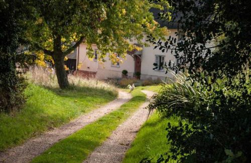 Assington House | Mill Cottage set beside a Mill pond in a 70 acre Nature Reserve Bliss