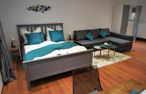 Ehrenbreitstein Apartment | Mill Valley Appart