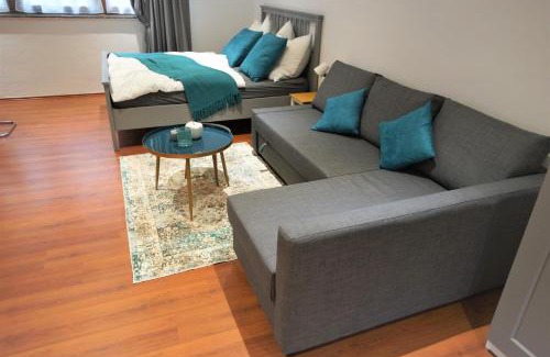 Ehrenbreitstein Apartment | Mill Valley Appart