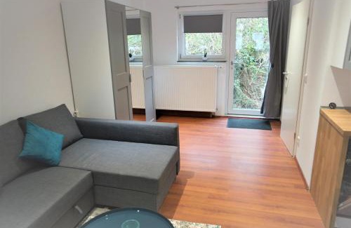 Ehrenbreitstein Apartment | Mill Valley Appart