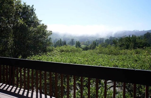 Tamalpais-Homestead Valley House | Mill Valley Vacation Retreat w/hot tub, trampoline and views