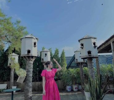 Tam Dao Apartment | Mimosa 226 - phòng săn mây