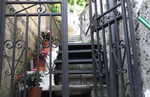 Dragonea House | mimosas at the beginning of the Amalfi coast