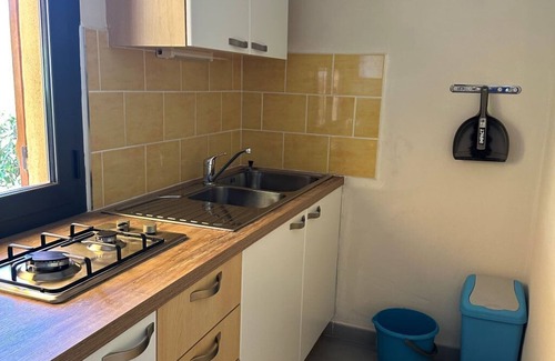 Tarcu House | Mini-villa with swimming pool (2 to 4 people) - Accommodation 1544176