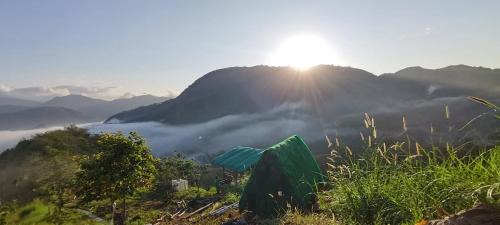 Tanay Other | MIRA AgroPark
