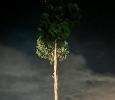 Sesquile House | Mirador de las aguas