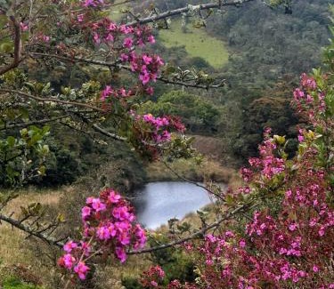 Sesquile House | Mirador de las aguas