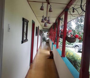 Pereira House | Mirador Las Marcadas