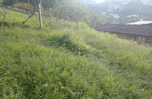 Florian Other | Mirador ventanas de Tisquizoque