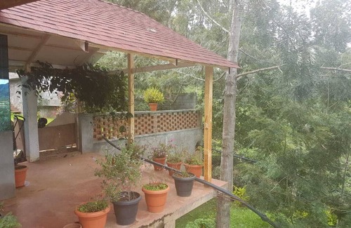 Kotagiri House | Misty Green woods.