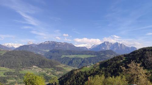 Albions House | Mitterhofer