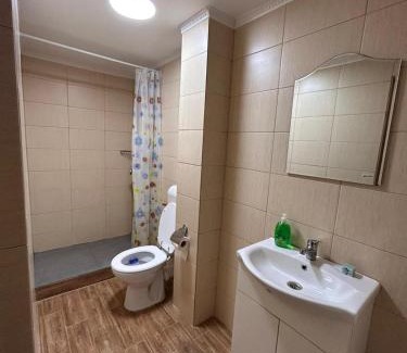 Ocna Sibiului House | Moșia lu' Mișu