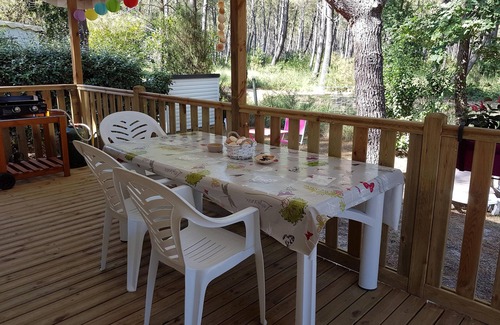 Saint-Julien-en-Born House | Mobile home in the Landes, view of the forest