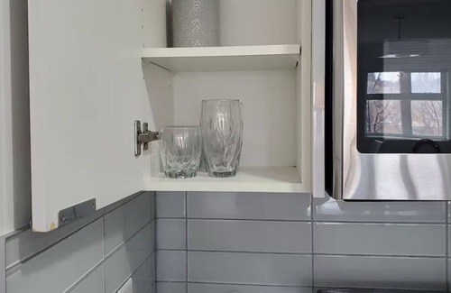 Downtown Calgary Apartment | Modern 1 Bedroom condo with riverview in Calagry