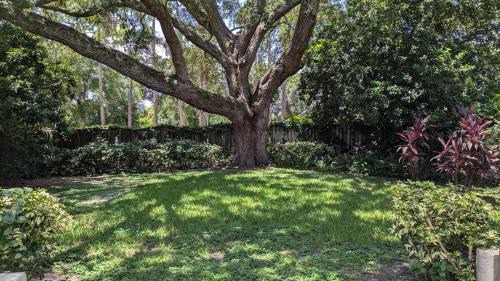 Orlando House | Modern 3BR Home 10 Min from MCO