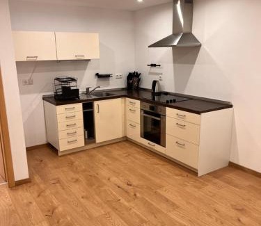 Gemarkung Hailtingen Apartment | Modern Apartment, nähe, Bodensee und Alb