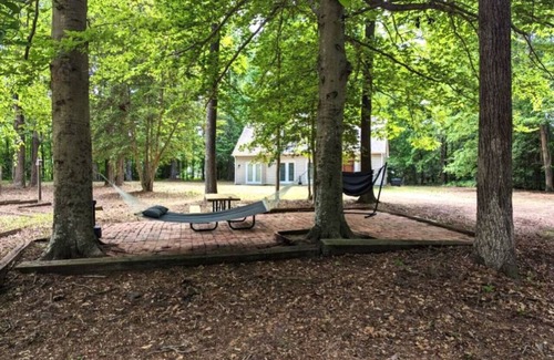 North Chesterfield House | Modern Comforts, Classic Charm: Neighborhood Gem