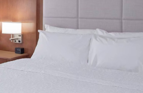 Columbus Hotel | Modern Comforts | Free Breakfast & WiFi | Columbus Scenic Stay | Near Scotio Dow