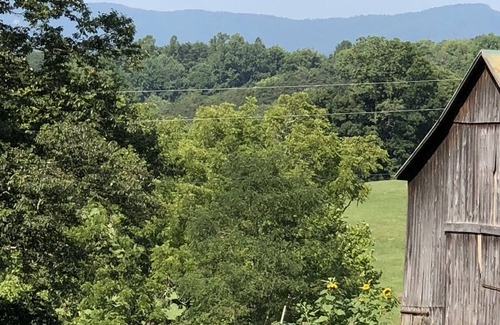 Lexington House | Modern Farmhouse near VMI, W&L, SVU & VA Horse Ctr