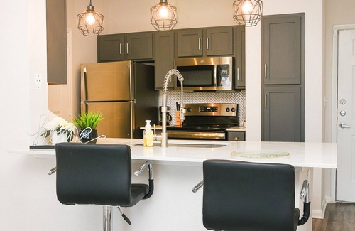Braeswood Place Apartment | Modern Luxury/NRG/MEDICAL CENTER 2 Bed 2 Bath KING Beds