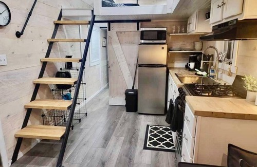 Hot Springs Cabin | Modern Nest Tiny Home