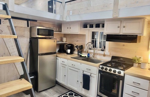 Hot Springs Cabin | Modern Nest Tiny Home