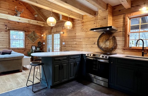 Grand Gorge Ski Chalet | Modern Rustic Log Chalet w/mtn views, pool & bonus loft on 17 secluded acres