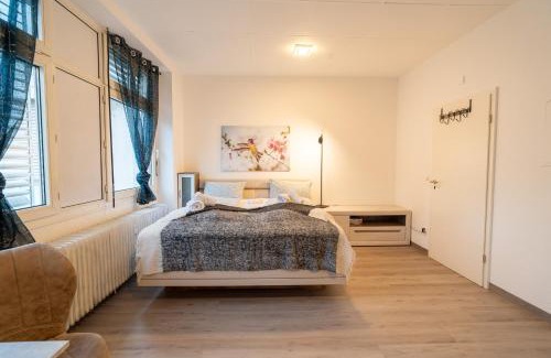 Lutzel Apartment | Modernes Studio Koblenz mit Küche und WLAN