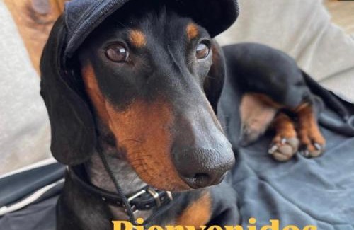 Figueras (Castropol) Apartment | MODERNO PISO CON LA MEJOR TERRAZA DE RIBADEO Y VISTAS MARAVILLOSAS