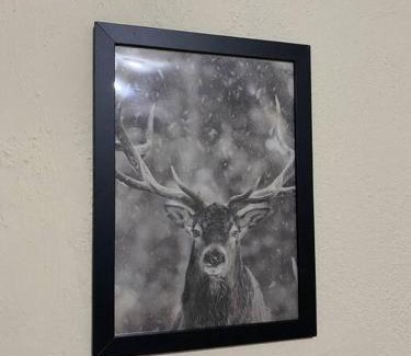 Miguel Pereira House | Moinho De Vento