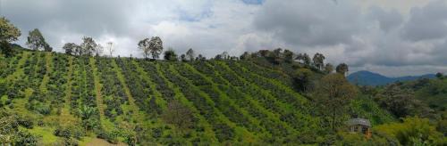 Cordoba Other | MoiraEcolodge - Cabaña El Porvenir