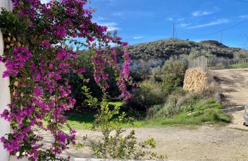 Los Gallardos Apartment | Mojacar farmhouse apartments with pool