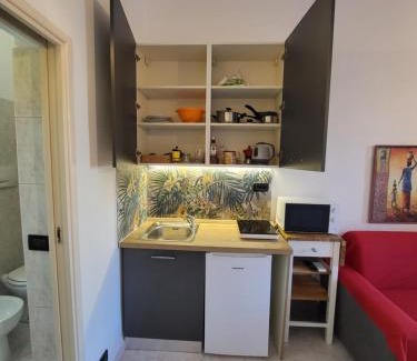 Pisa City Centre Apartment | Monolocale Lungarno