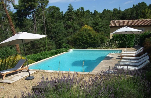Montauroux Apartment | MONTAUROUX 30MN OF CANNES APARTMENT CONDITIONING TERRACE GARDEN PRIVATE POOL