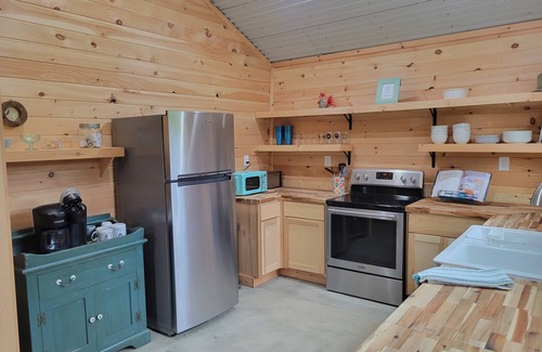 Rydal Cabin | Moon tree cabin ππ² 2-bedrooms in Rydal, close to Buc-ee's! Outside shower!