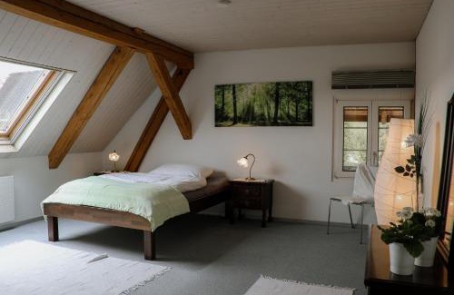 Munchenbuchsee Apartment | Mooshof Apartment