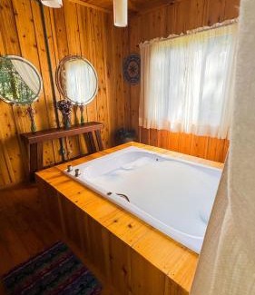 Campo Alegre Ski Chalet | Morada Alma Gêmea Chalé casal hidro e mirante