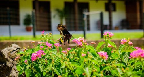 Doutor Pedrinho House | Morada Das Cerejeiras - Espaçosa e Ideal para Pets