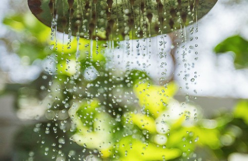 Monitos Cabin | Morena Beach